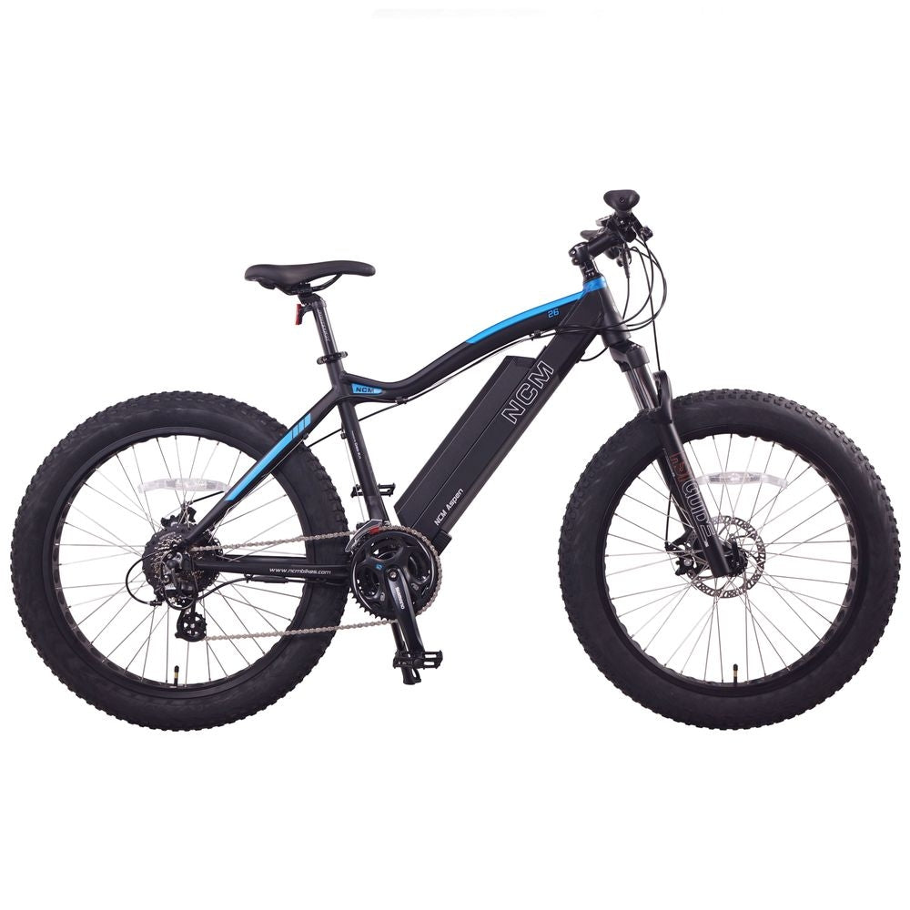 NCM Aspen 500W 48V 13Ah