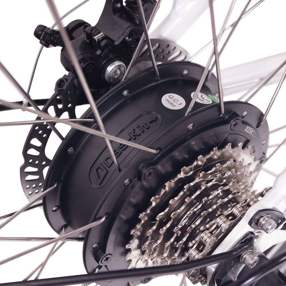 Munich 350W 36V 13Ah