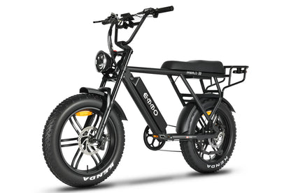 Paralo Pro E-Bike