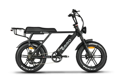 Paralo Pro E-Bike